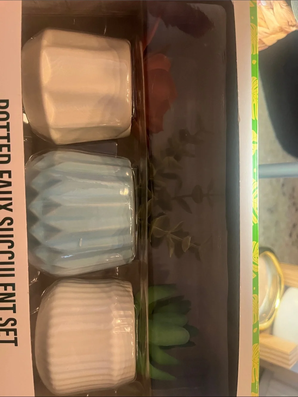 Potted Faux Succulent Set - Blue, White, Cream